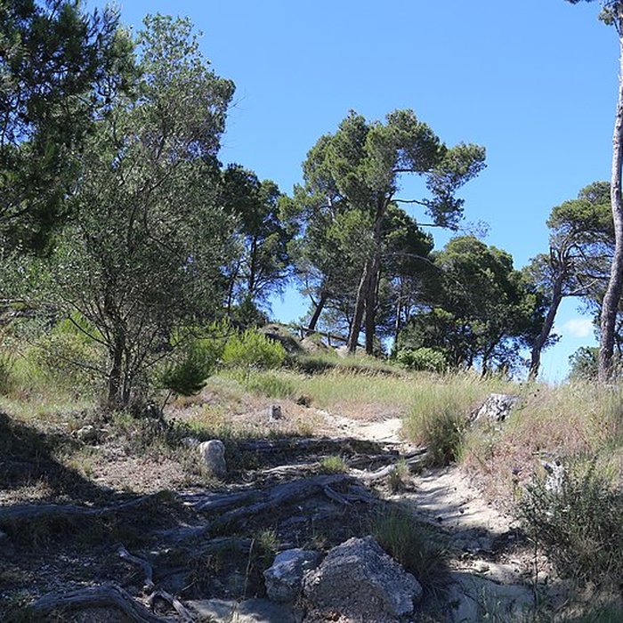 Photo de Oppidum dEnsérune à Nissan-lez-Enserune