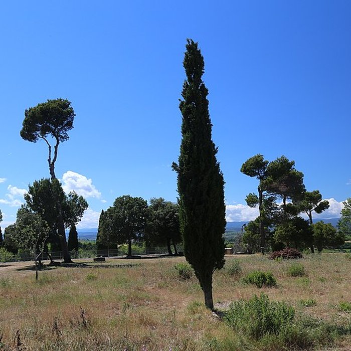 Photo de Oppidum dEnsérune à Nissan-lez-Enserune
