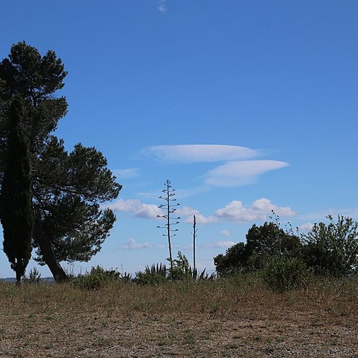 Photo de Oppidum dEnsérune à Nissan-lez-Enserune