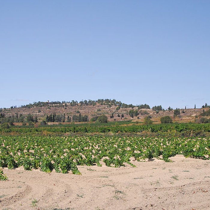 Photo de Oppidum dEnsérune à Nissan-lez-Enserune