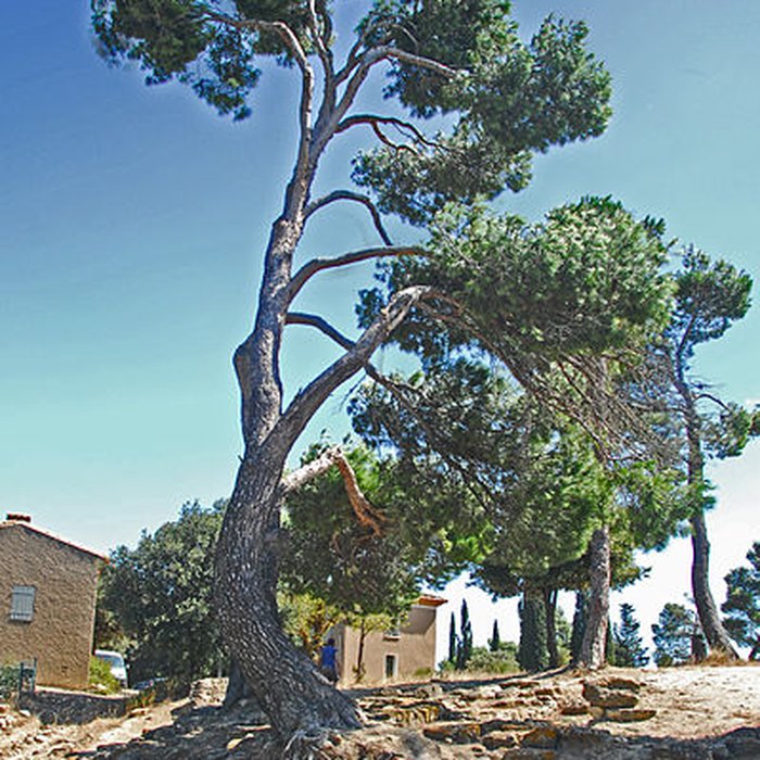 Photo de Oppidum dEnsérune à Nissan-lez-Enserune