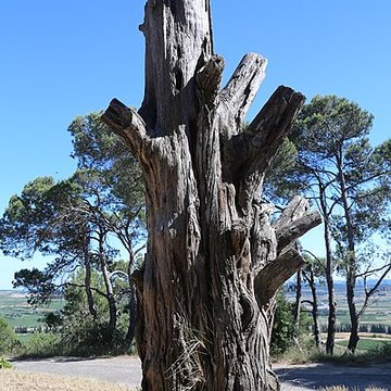 Oppidum dEnsérune à Nissan-lez-Enserune