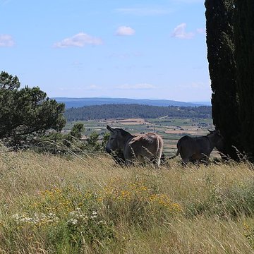 Oppidum dEnsérune à Nissan-lez-Enserune
