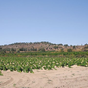 Oppidum dEnsérune à Nissan-lez-Enserune