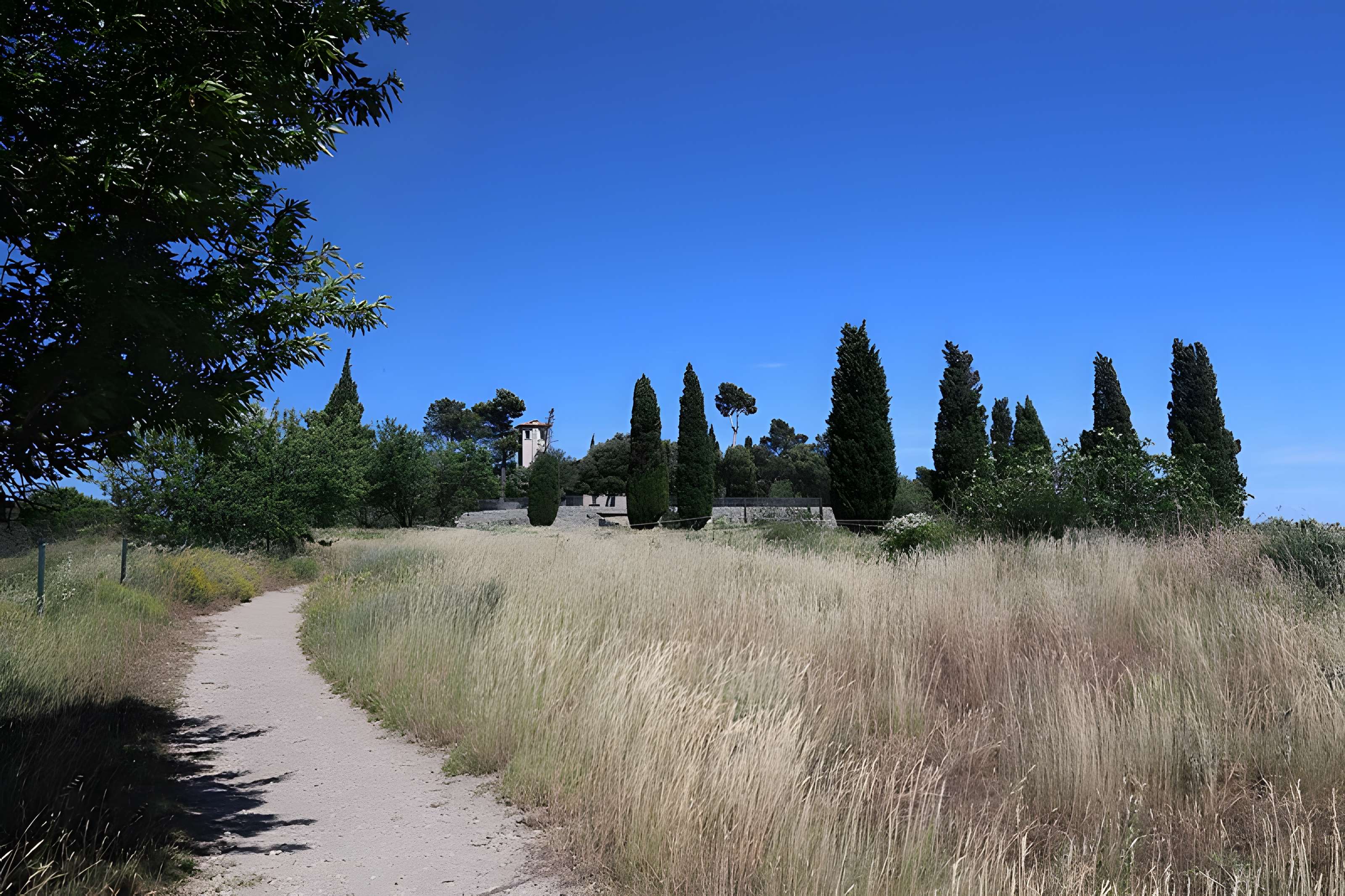 Oppidum d'Ensérune à Nissan-lez-Enserune