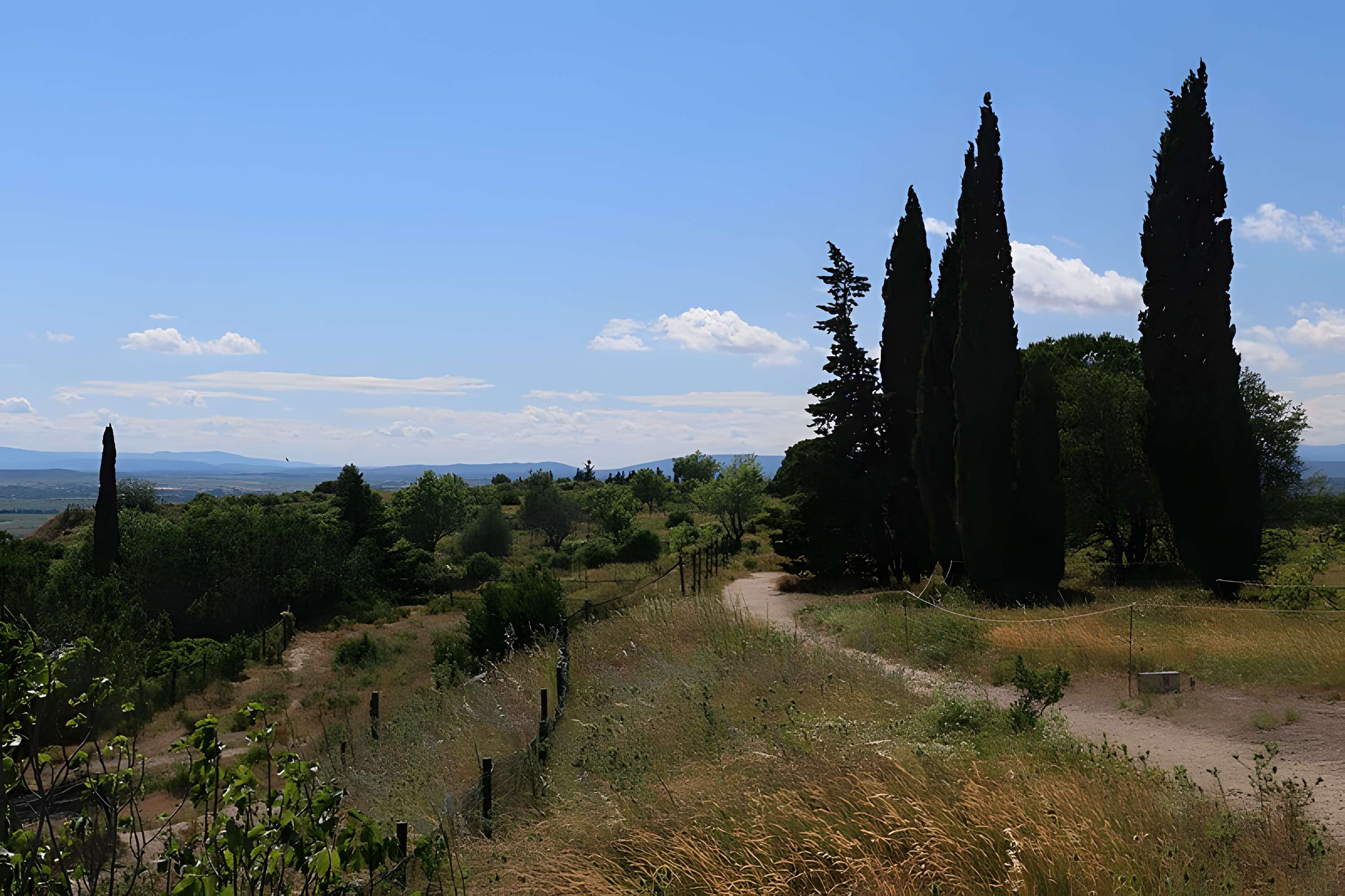 Oppidum d'Ensérune à Nissan-lez-Enserune