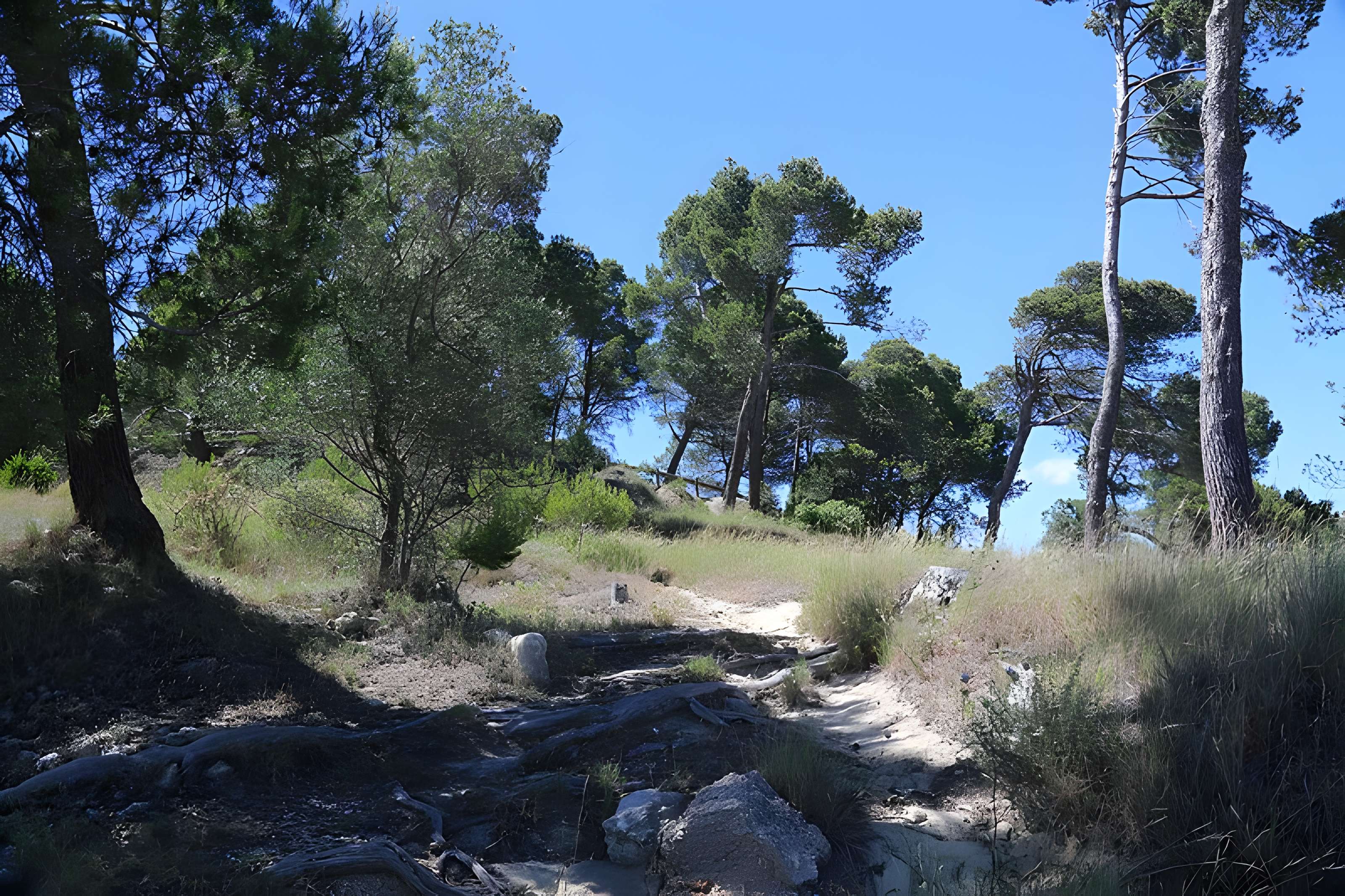 Oppidum d'Ensérune à Nissan-lez-Enserune