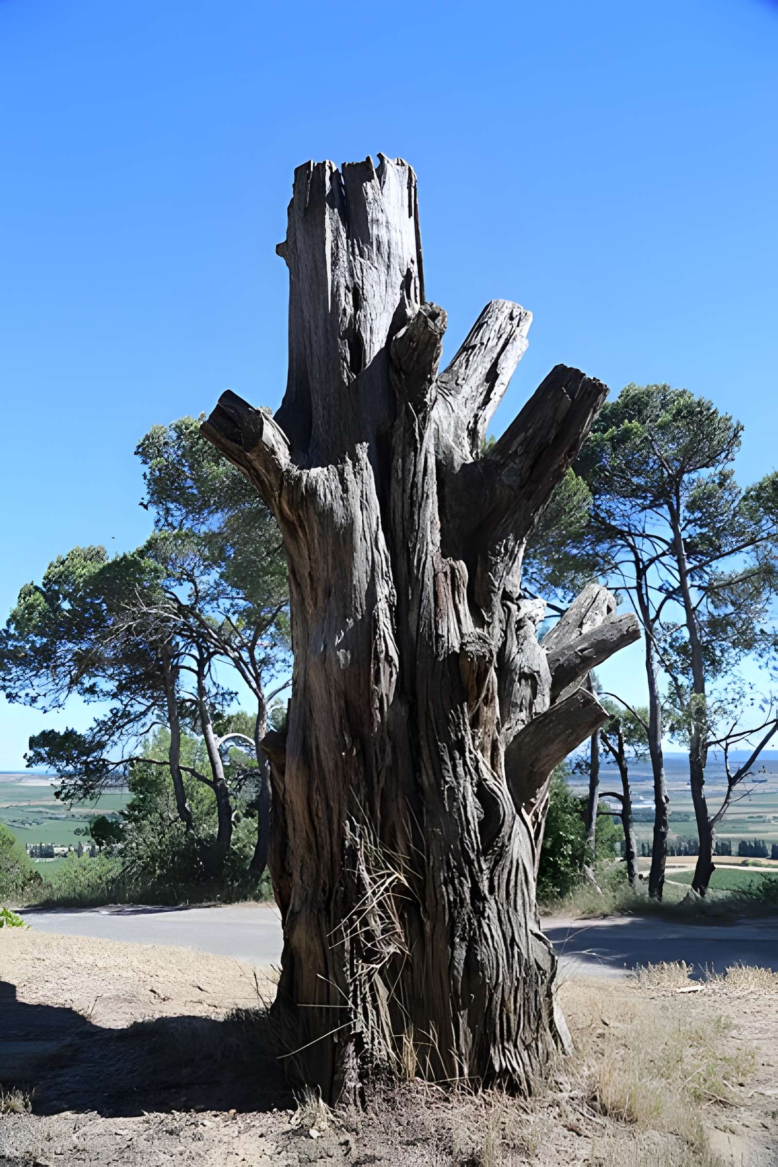 Oppidum d'Ensérune à Nissan-lez-Enserune