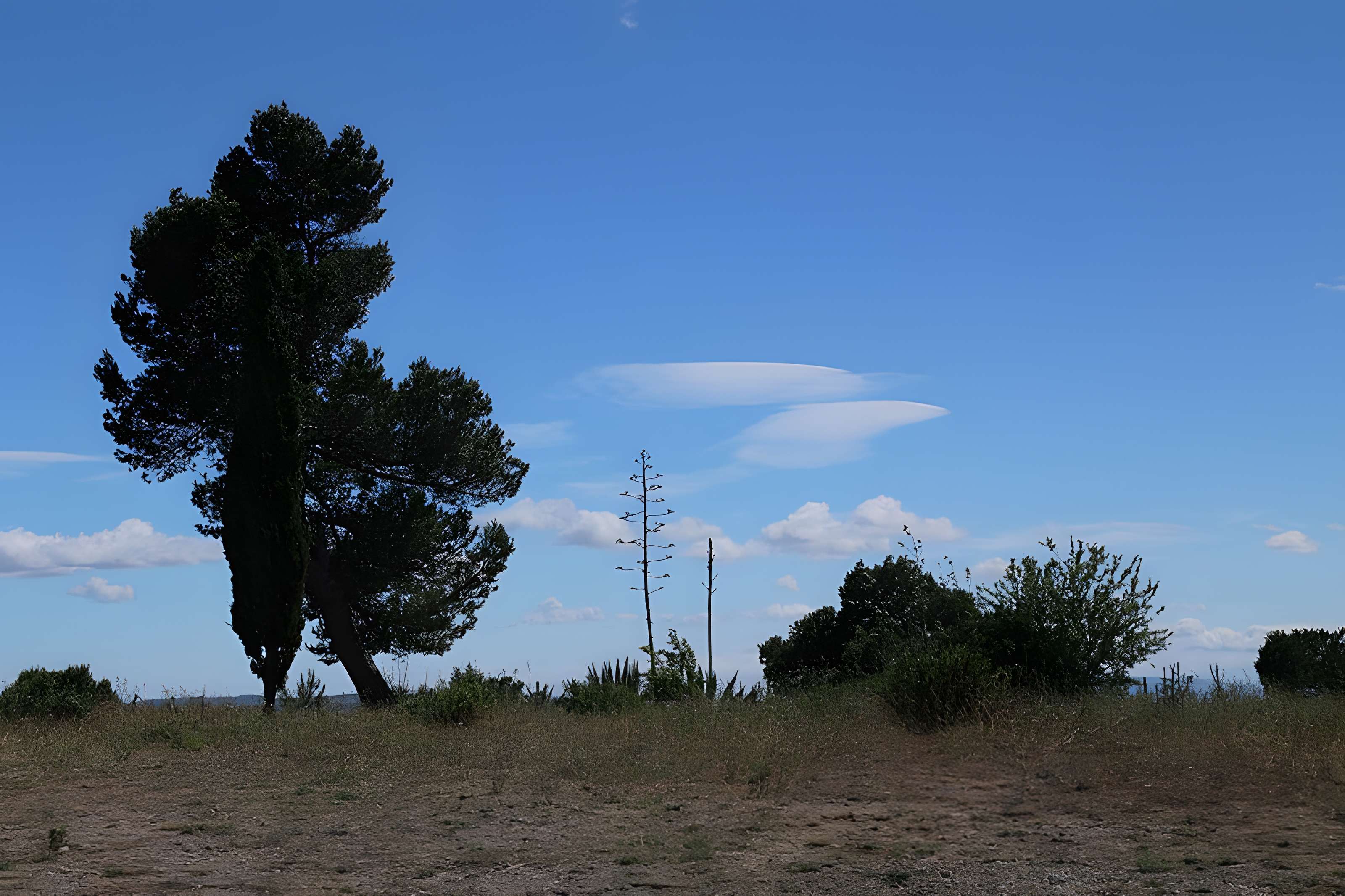 Oppidum d'Ensérune à Nissan-lez-Enserune
