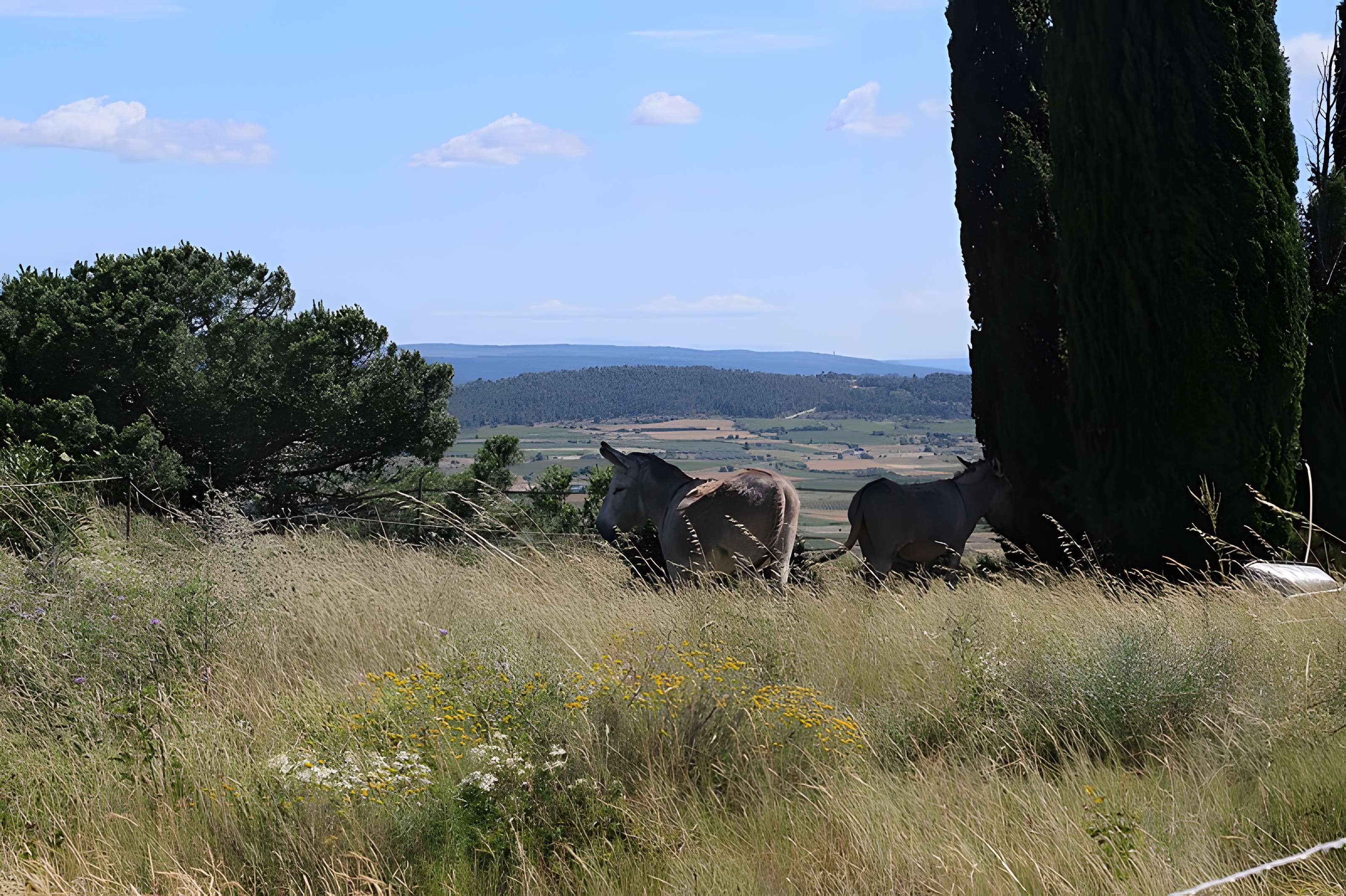Oppidum d'Ensérune à Nissan-lez-Enserune