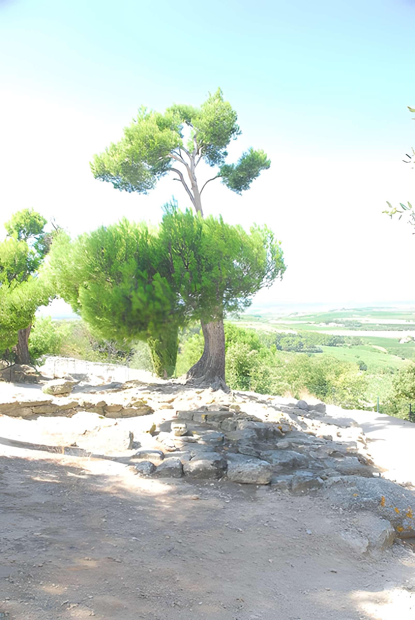 Oppidum d'Ensérune à Nissan-lez-Enserune