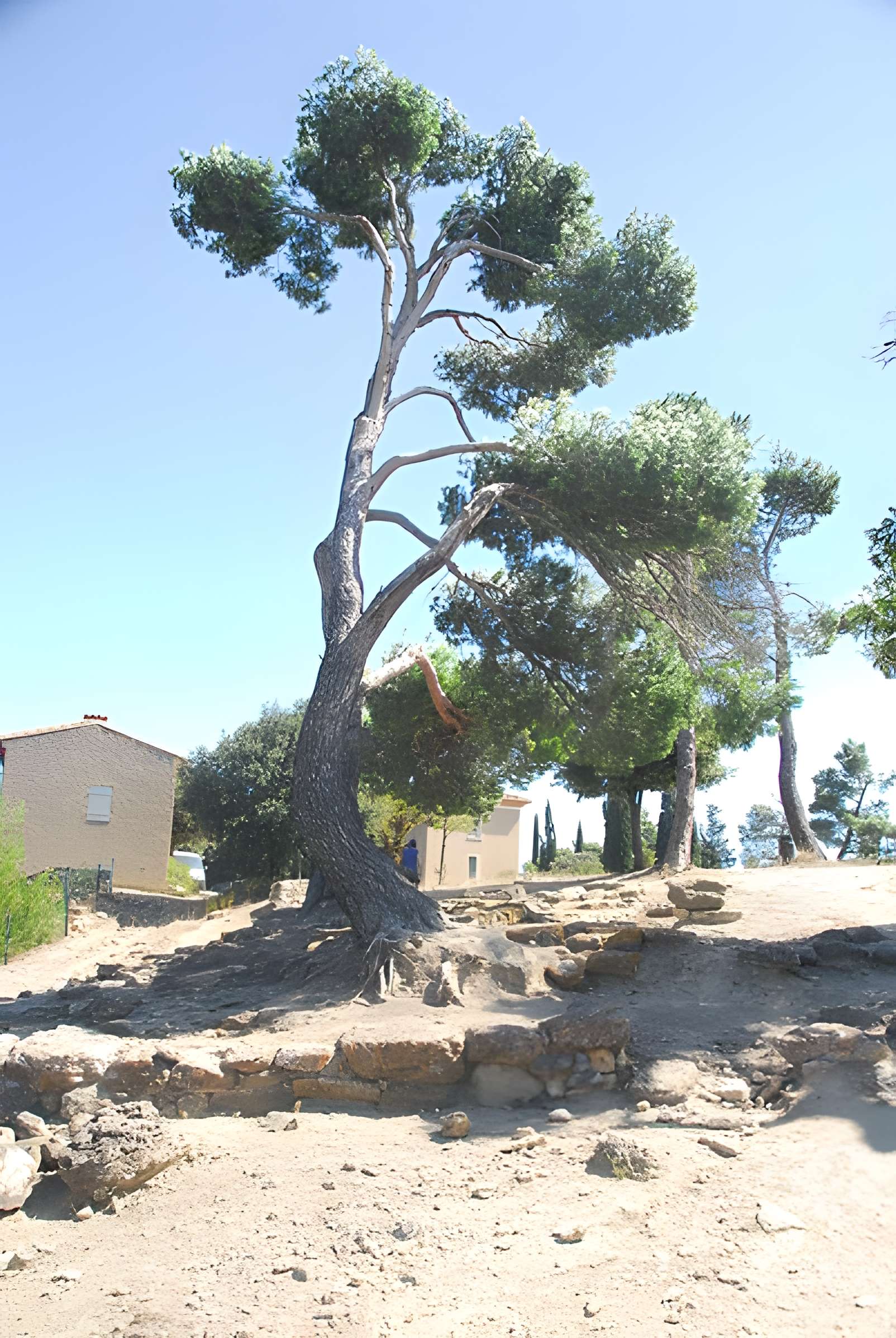 Oppidum d'Ensérune à Nissan-lez-Enserune