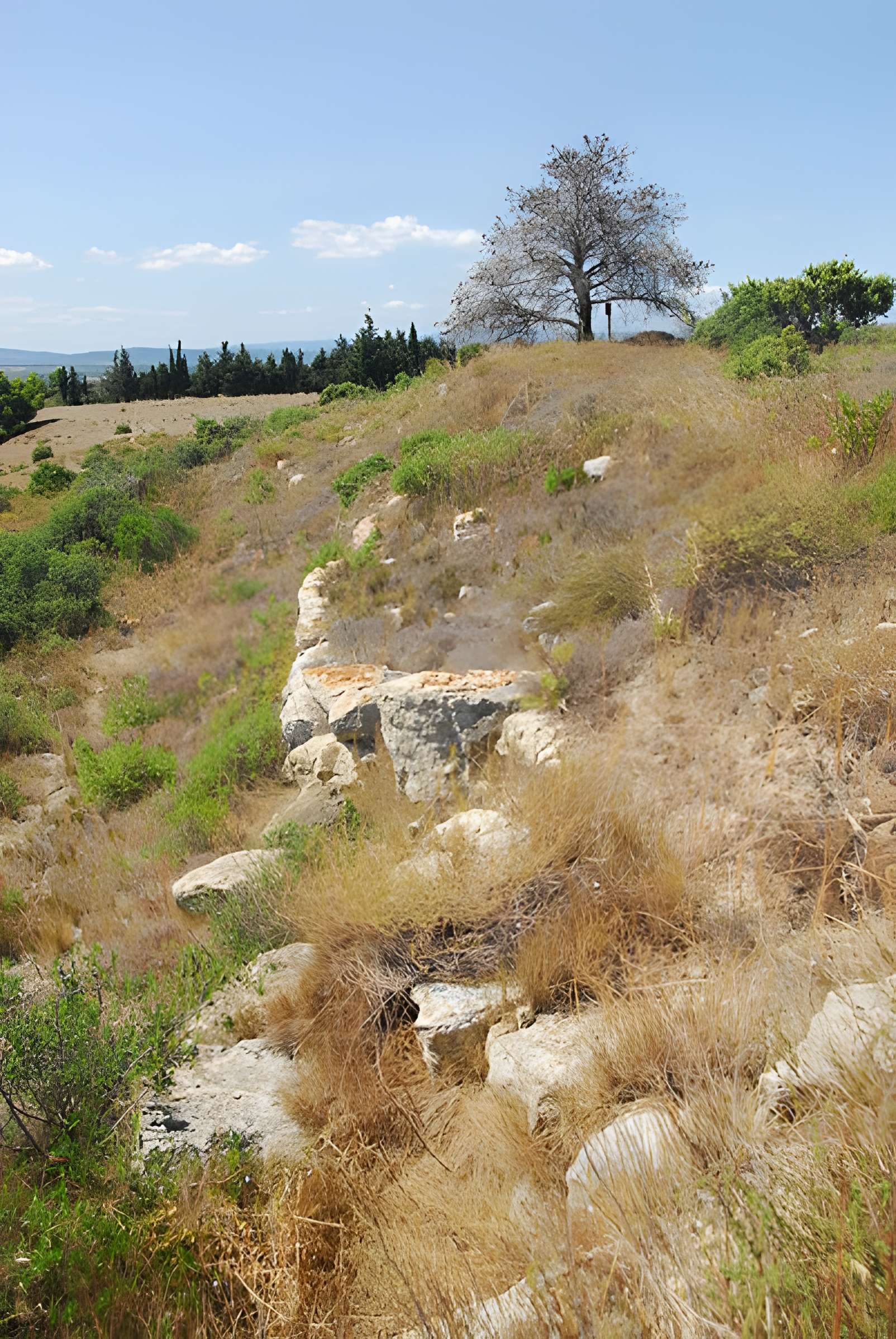 Oppidum d'Ensérune à Nissan-lez-Enserune