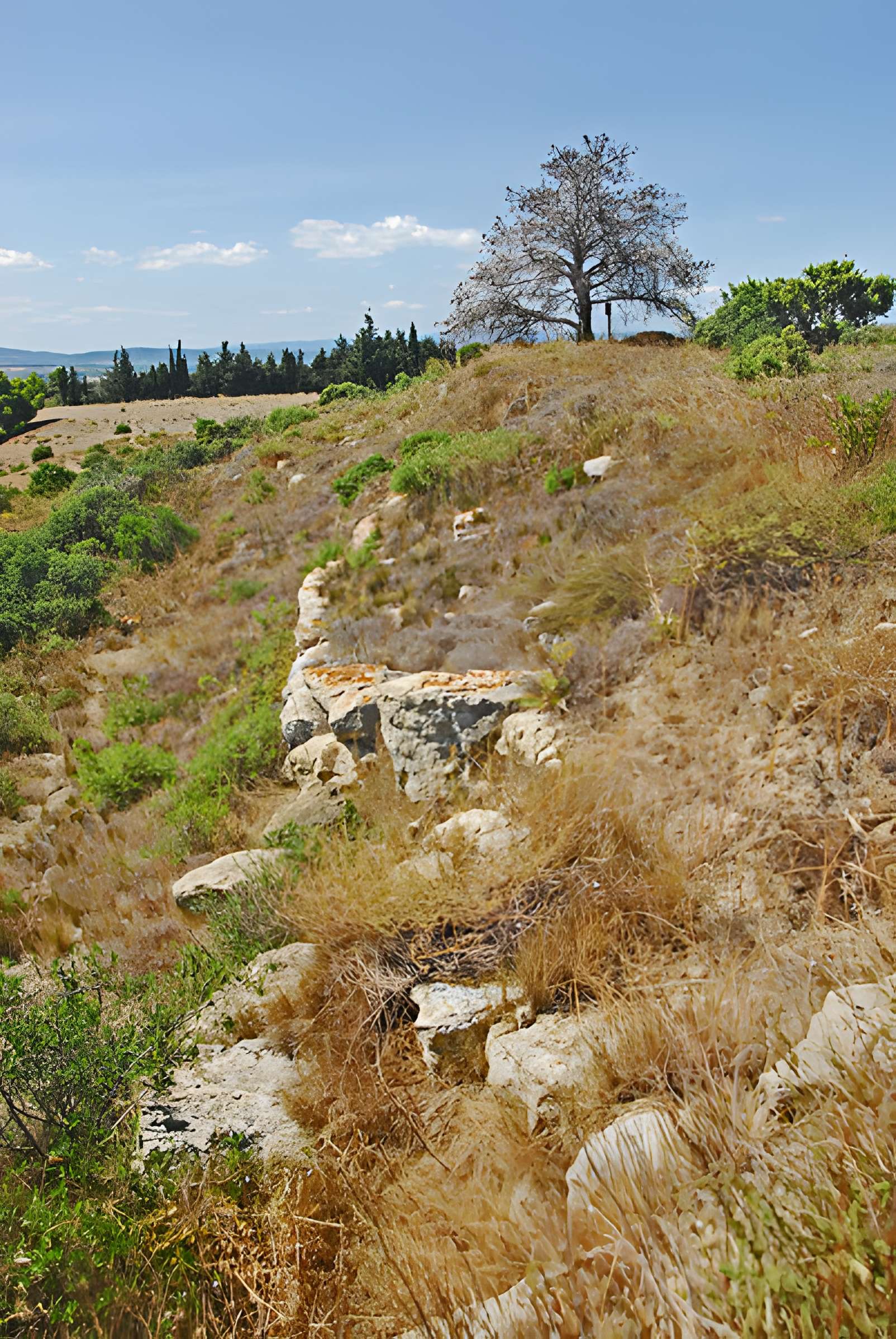 Oppidum d'Ensérune à Nissan-lez-Enserune