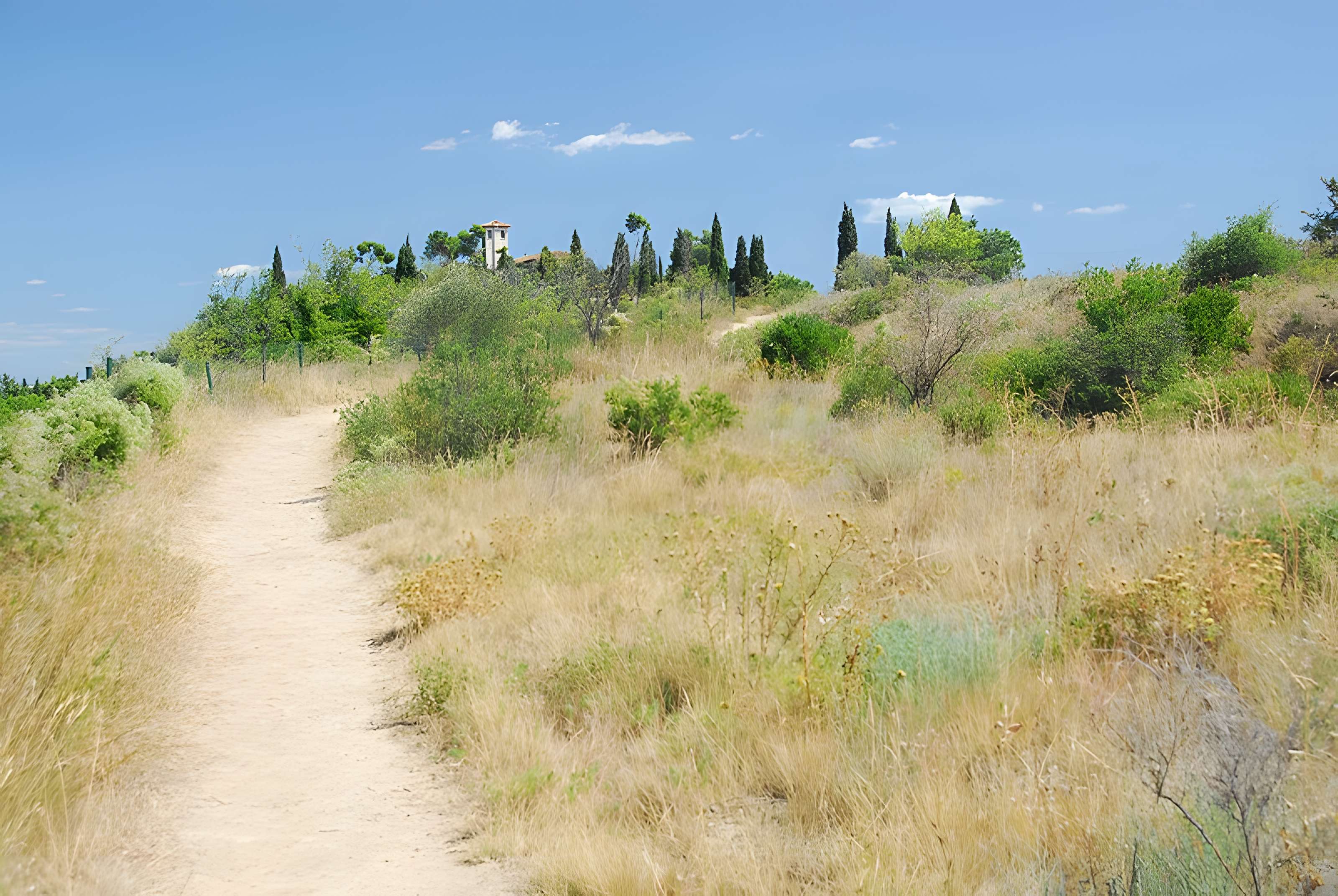 Oppidum d'Ensérune à Nissan-lez-Enserune