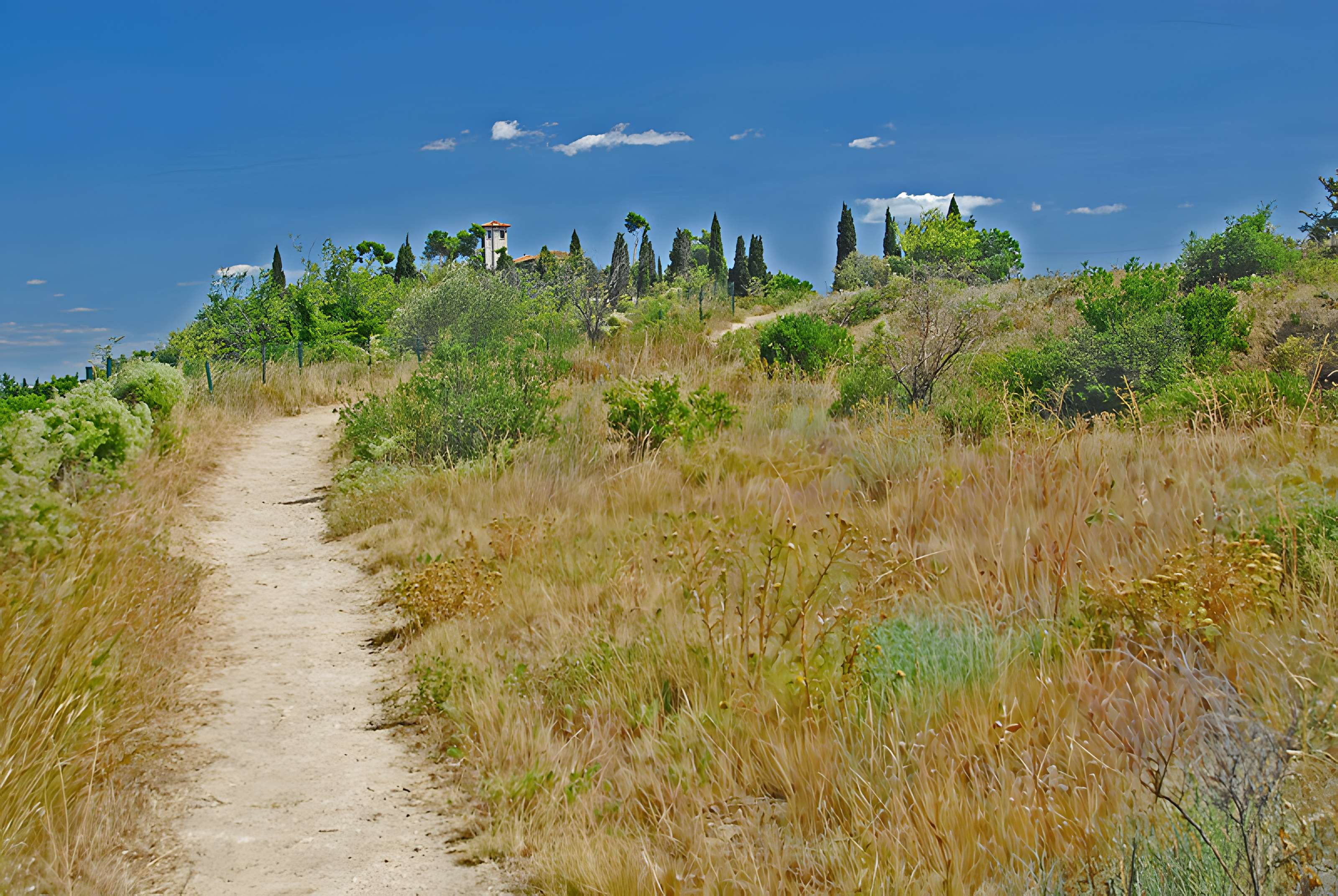 Oppidum d'Ensérune à Nissan-lez-Enserune