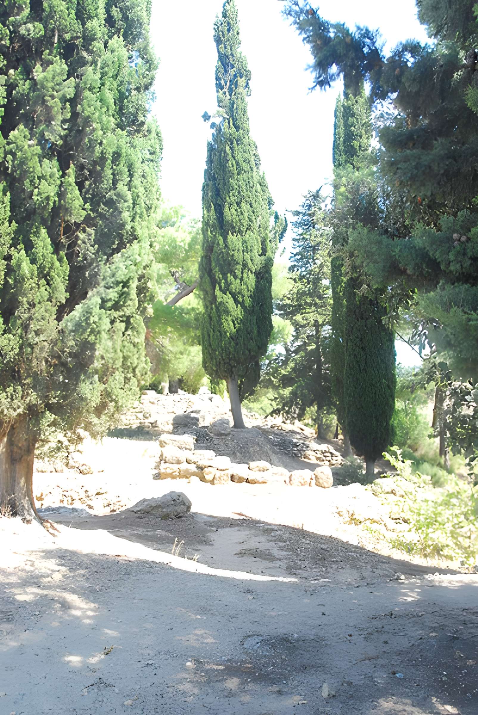 Oppidum d'Ensérune à Nissan-lez-Enserune