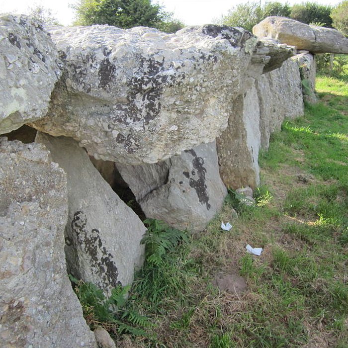 Photo de Allée couverte de Bretteville