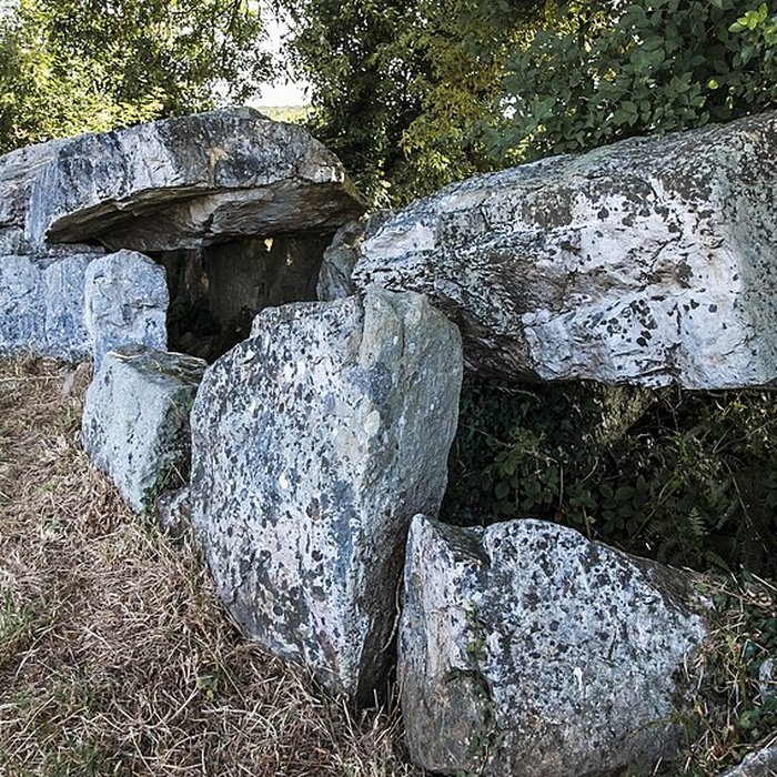 Photo de Allée couverte de Bretteville