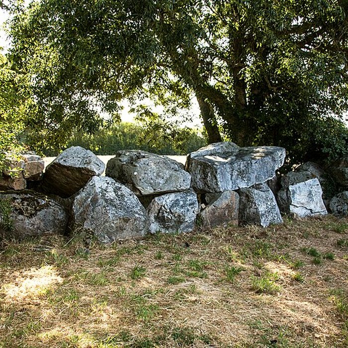 Photo de Allée couverte de Bretteville