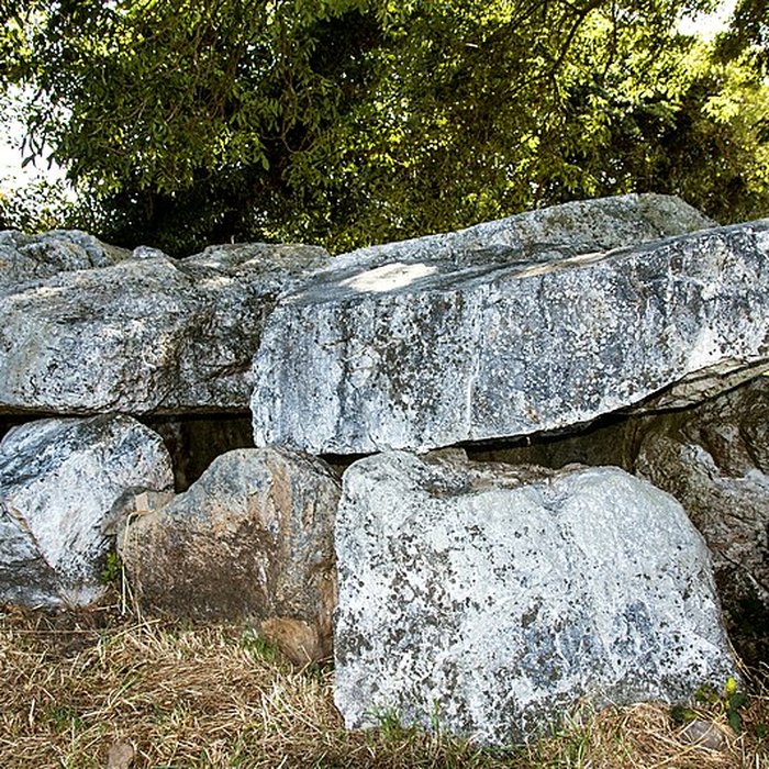 Photo de Allée couverte de Bretteville