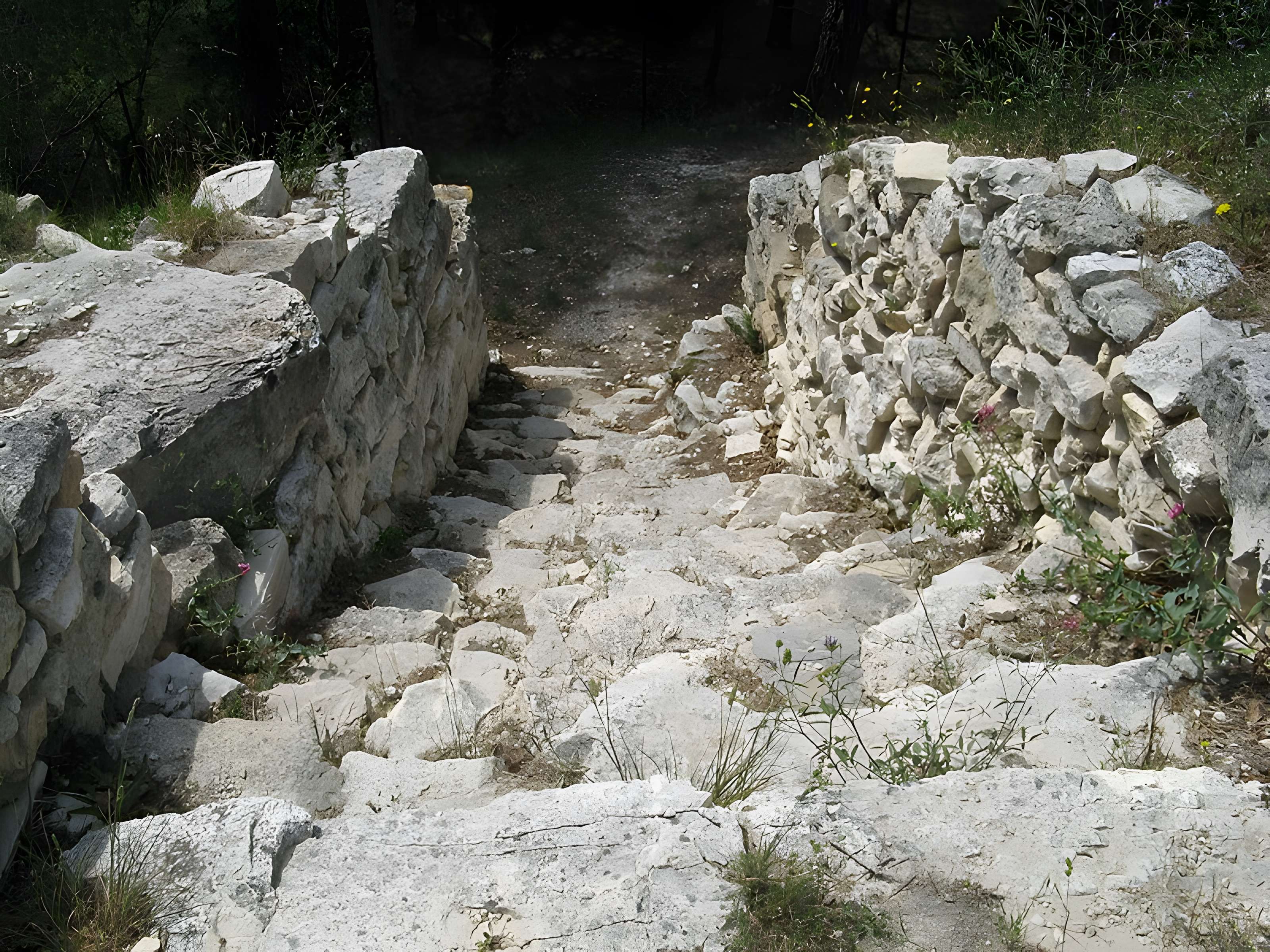 Vestiges de l'oppidum celto-ligure d'Entremont