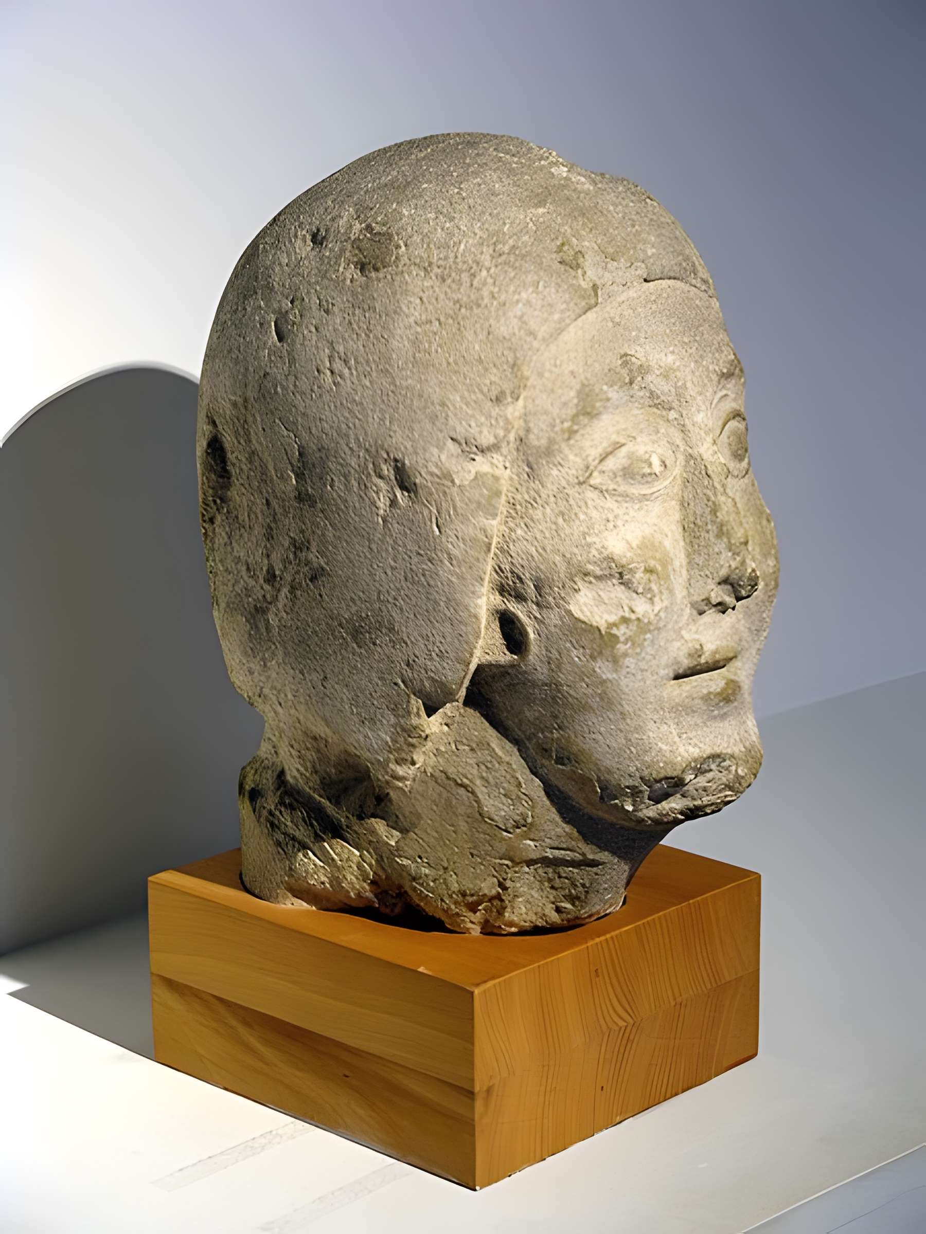 Vestiges de l'oppidum celto-ligure d'Entremont