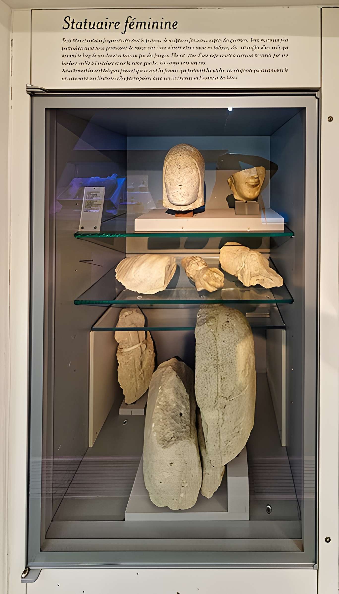 Vestiges de l'oppidum celto-ligure d'Entremont