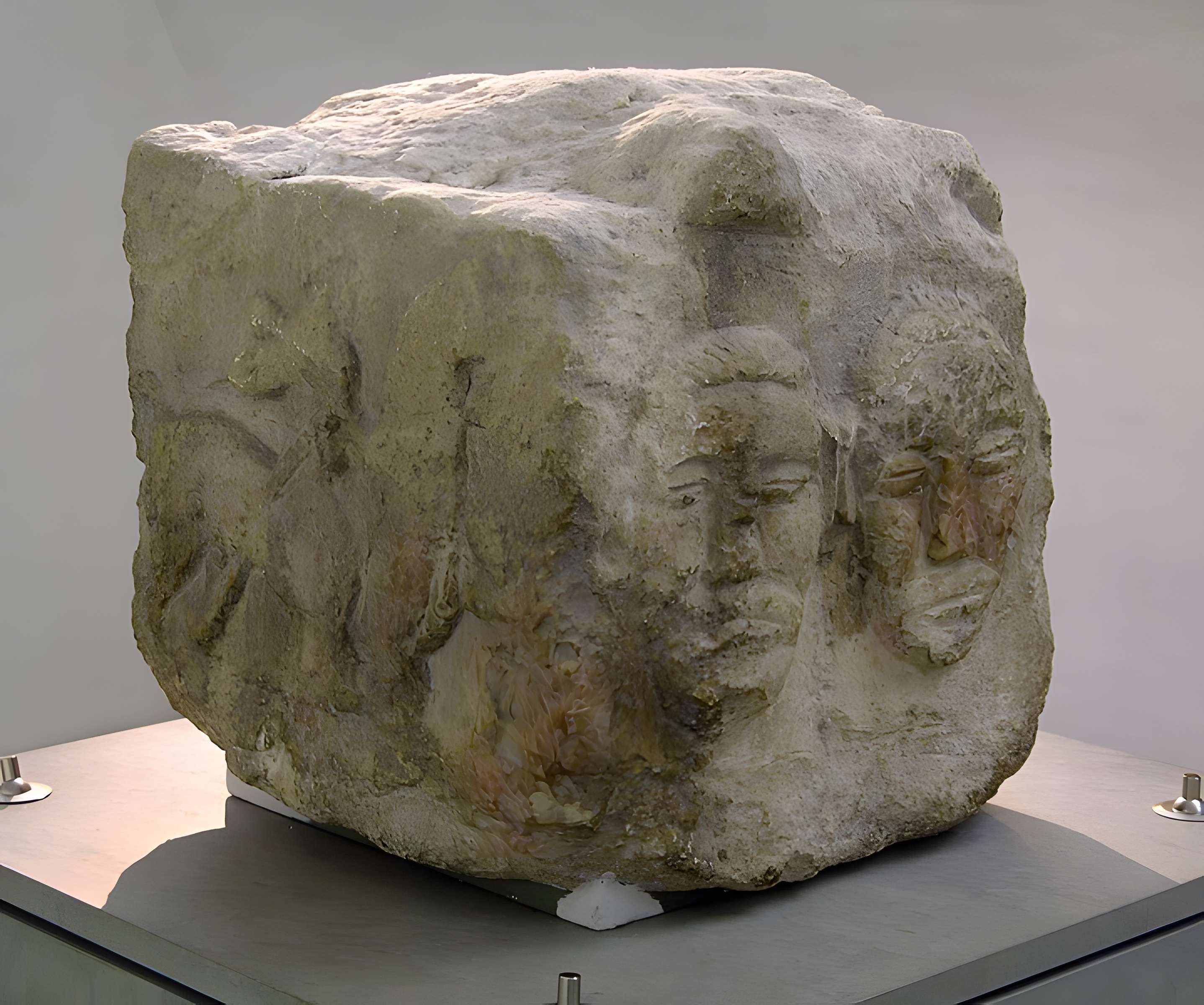 Vestiges de l'oppidum celto-ligure d'Entremont