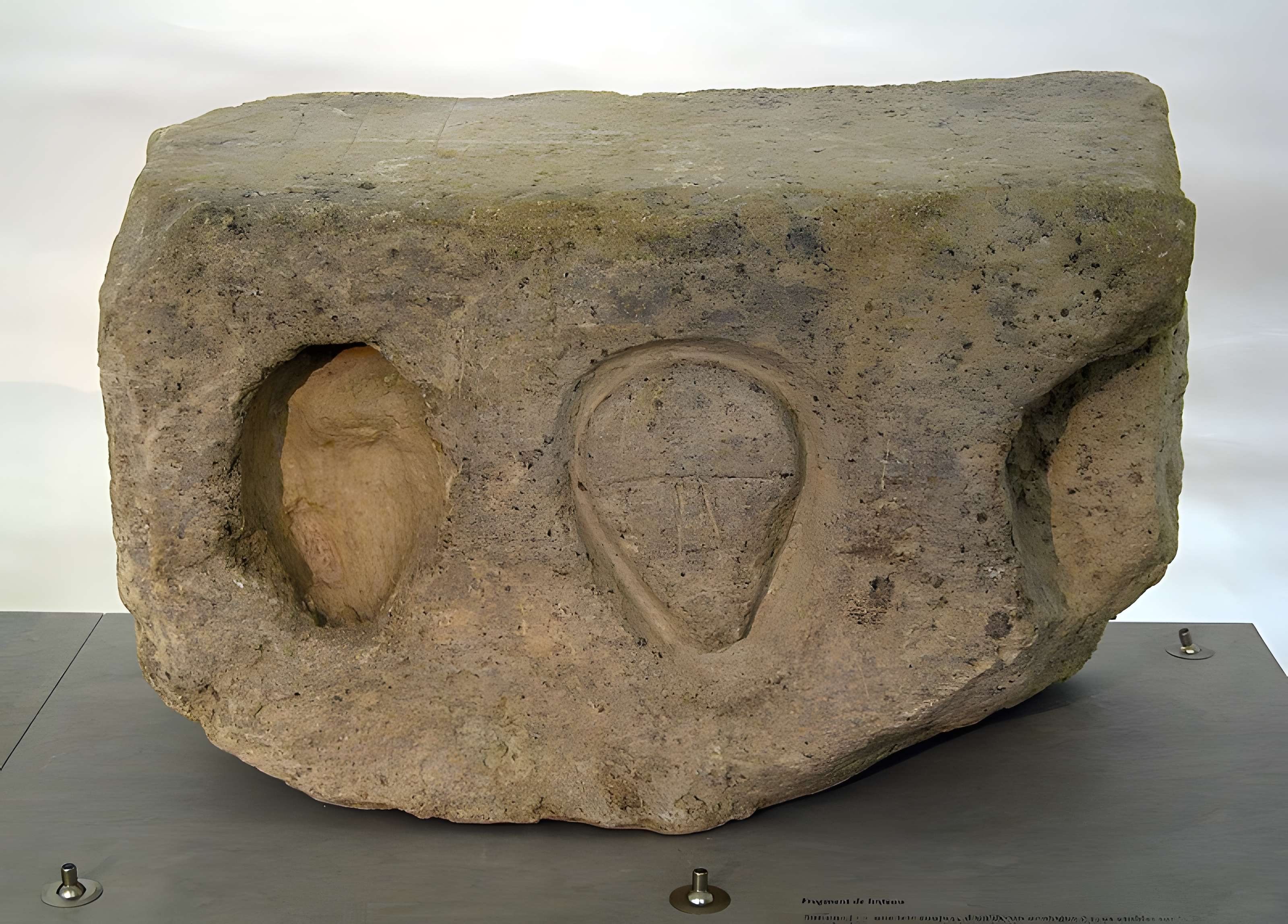 Vestiges de l'oppidum celto-ligure d'Entremont