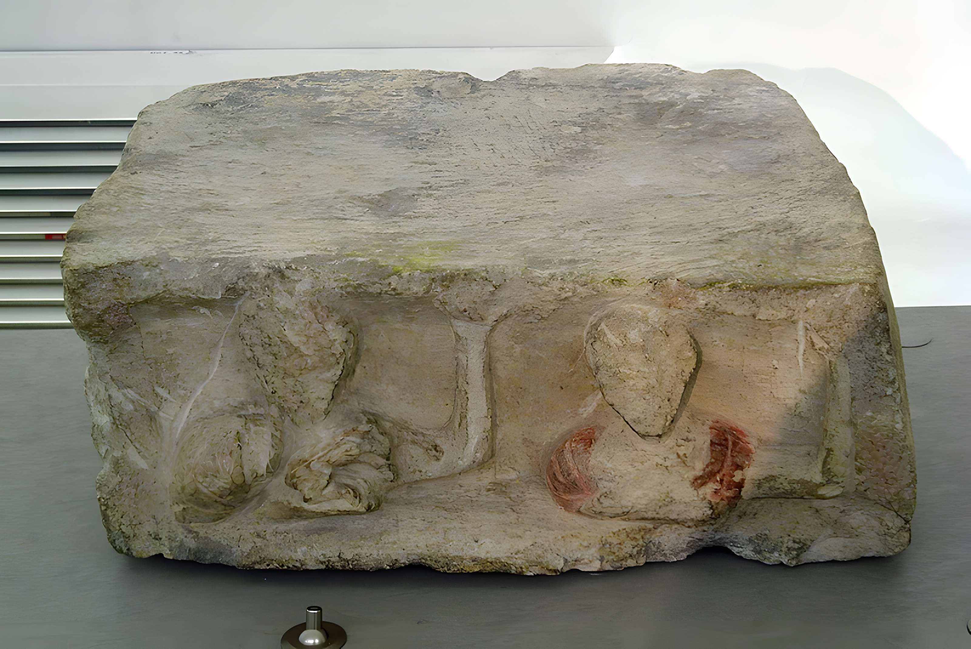 Vestiges de l'oppidum celto-ligure d'Entremont