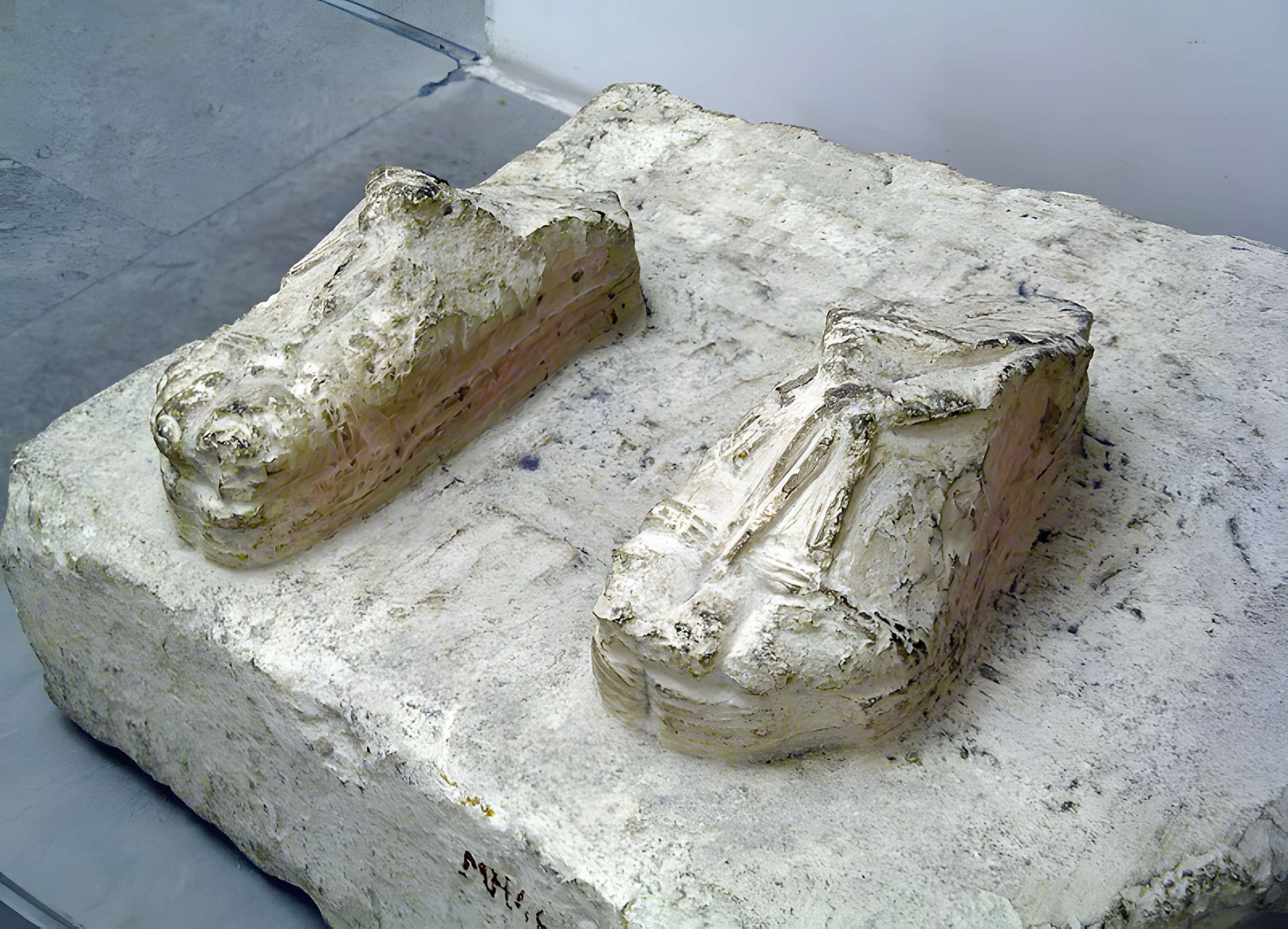 Vestiges de l'oppidum celto-ligure d'Entremont