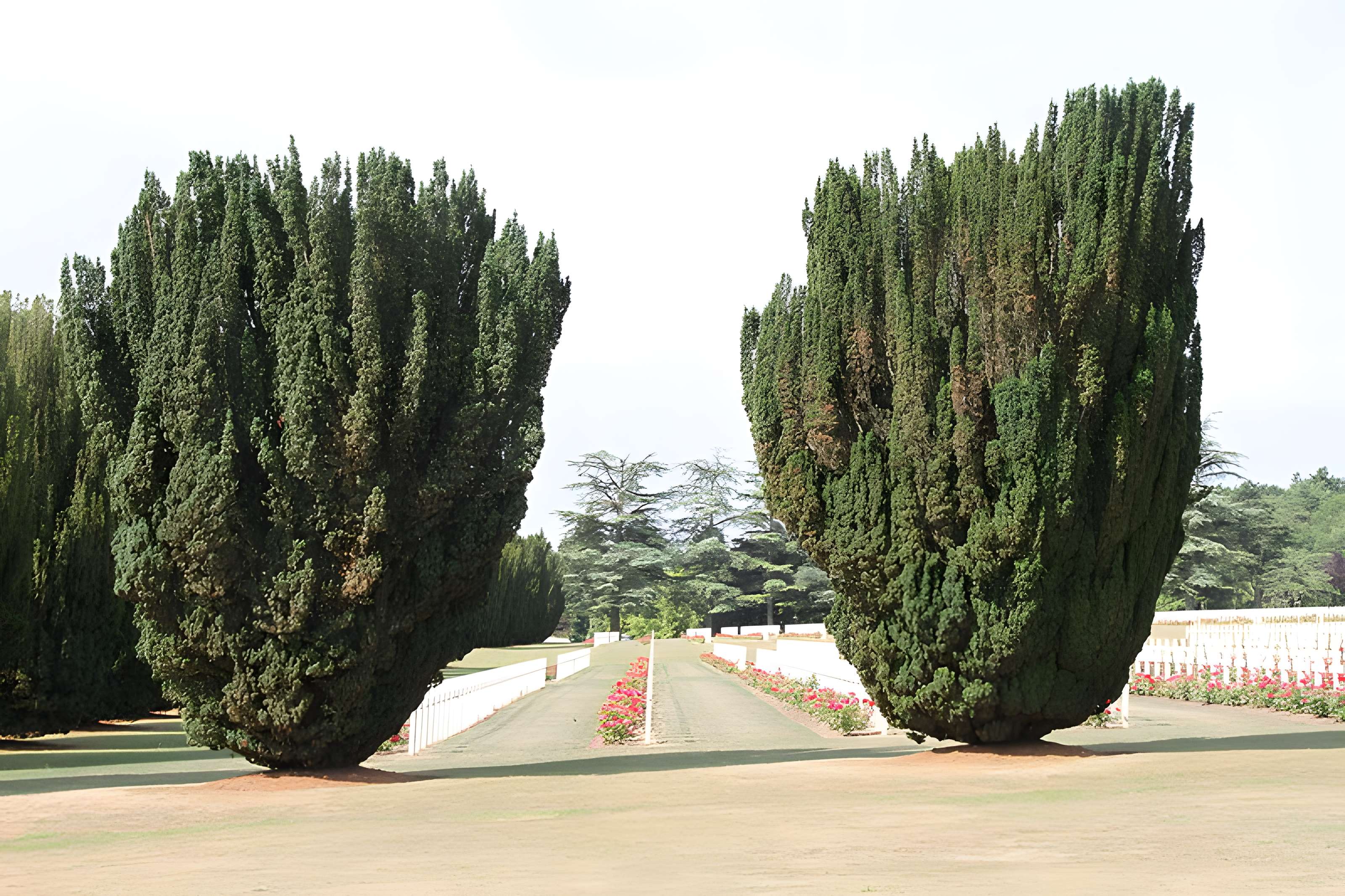 Ossuaire de Douaumont