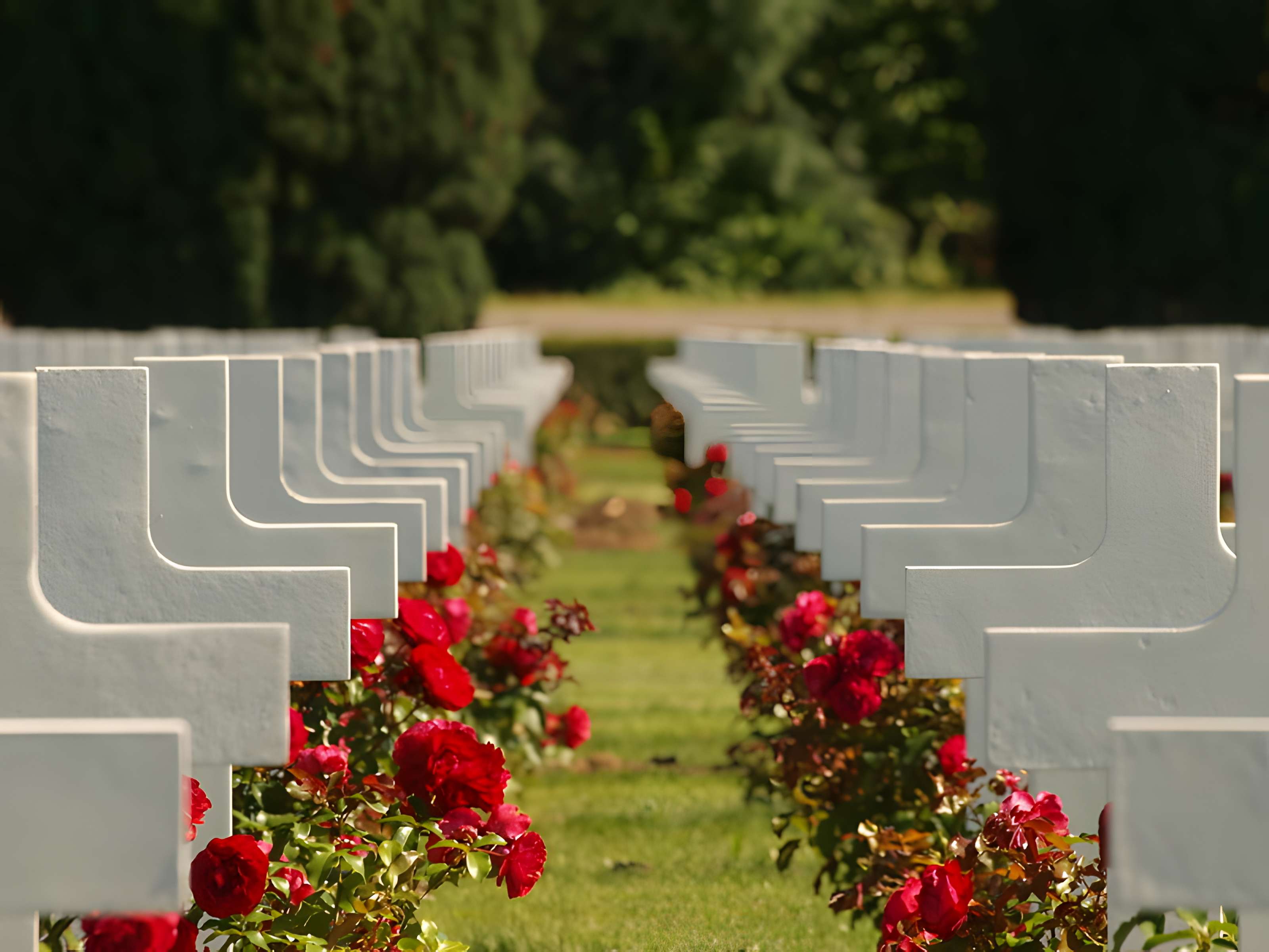 Ossuaire de Douaumont