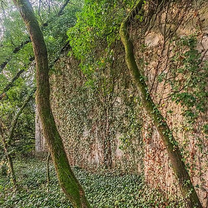 Photo de Chapelle Saint-Roch de Vidaillan