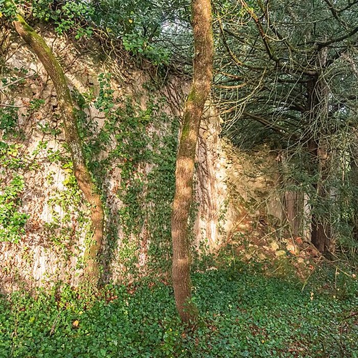 Photo de Chapelle Saint-Roch de Vidaillan