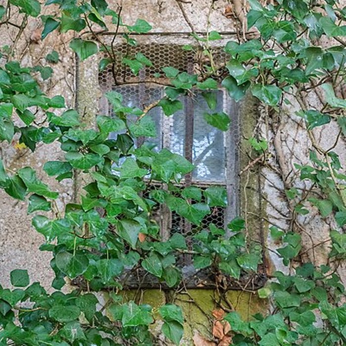 Photo de Chapelle Saint-Roch de Vidaillan