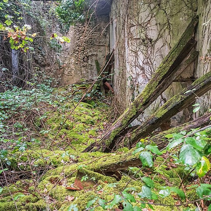 Photo de Chapelle Saint-Roch de Vidaillan