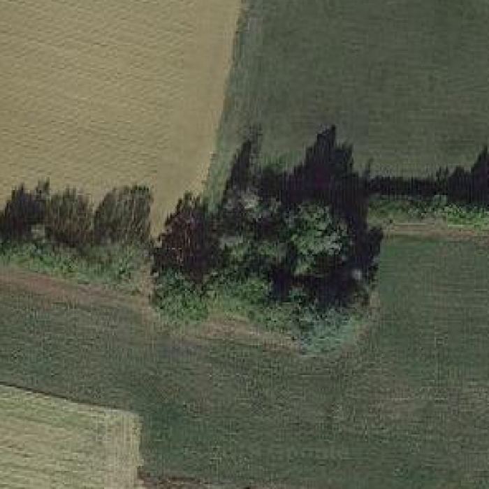 Photo de Chapelle Saint-Roch de Vidaillan