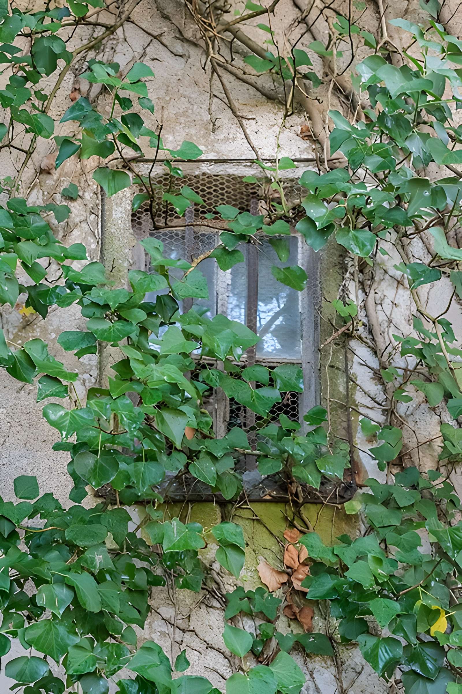 Chapelle Saint-Roch de Vidaillan
