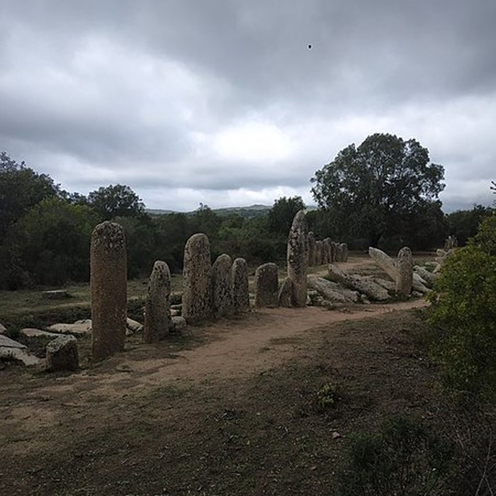 Photo de Alignement de menhirs de Pagliajo