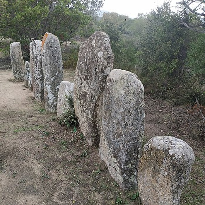 Photo de Alignement de menhirs de Pagliajo