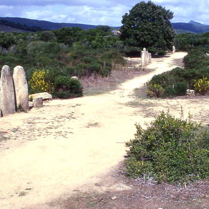 Photo de Alignement de menhirs de Pagliajo