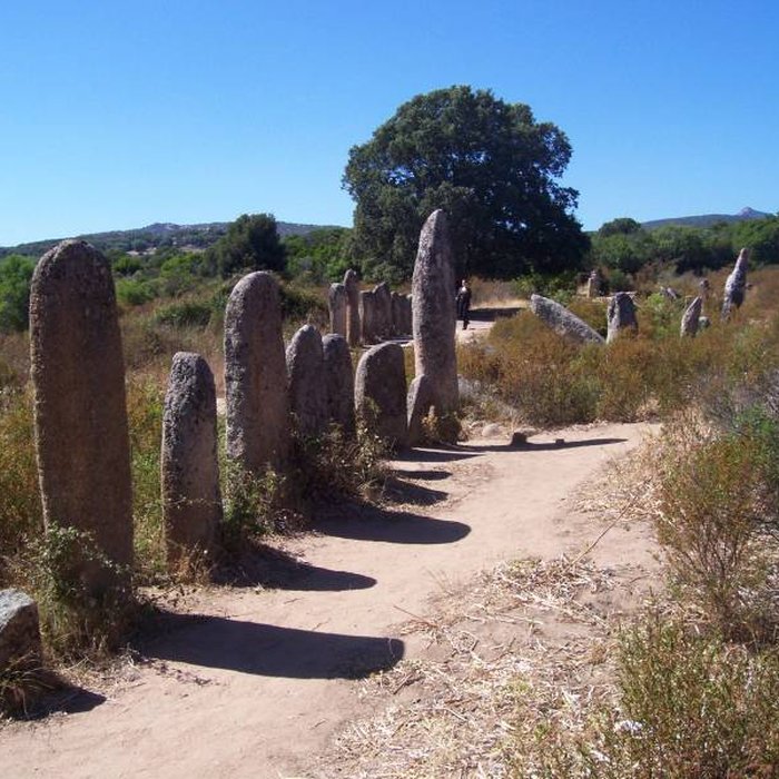 Photo de Alignement de menhirs de Pagliajo