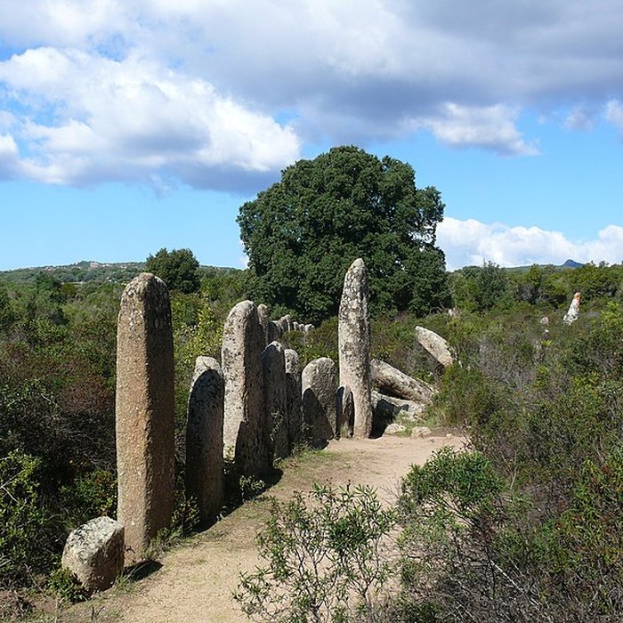 Photo de Alignement de menhirs de Pagliajo