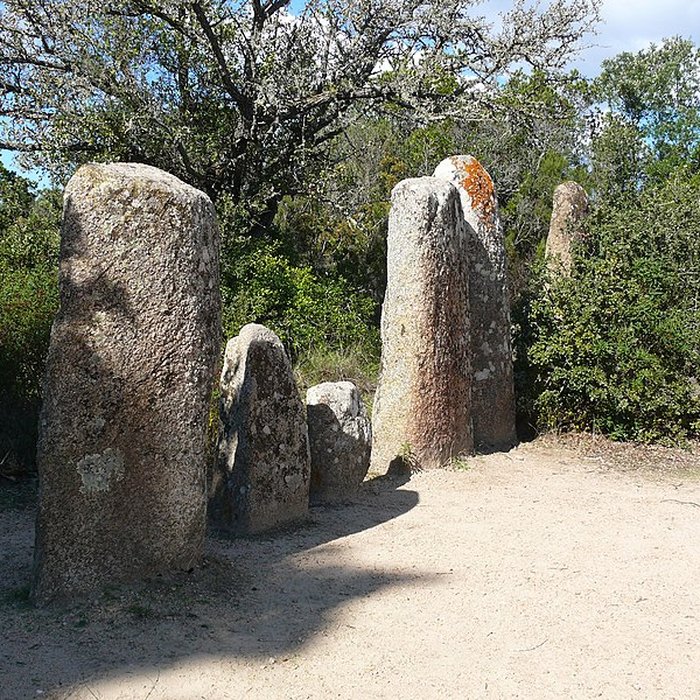 Photo de Alignement de menhirs de Pagliajo