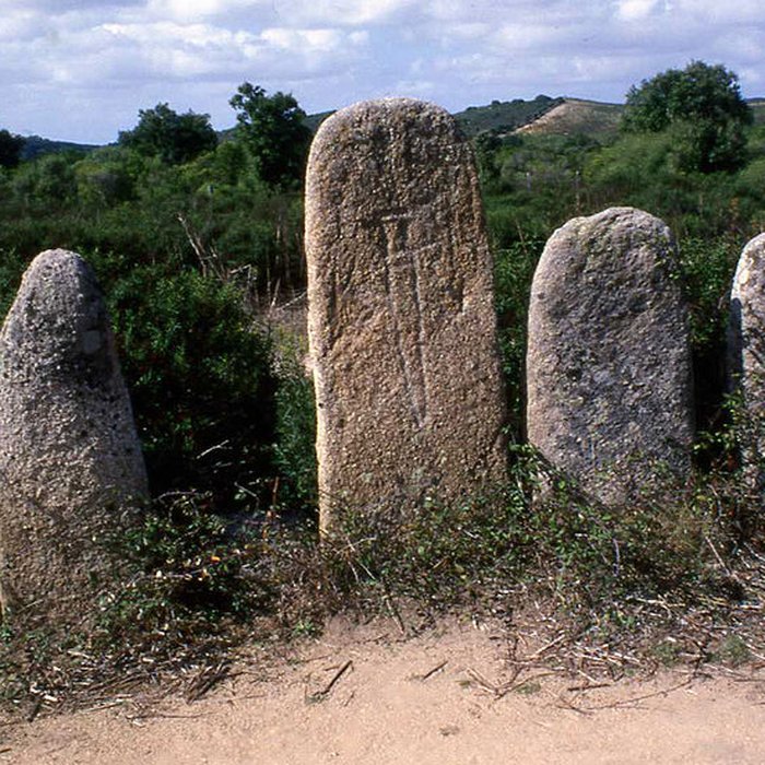Photo de Alignement de menhirs de Pagliajo
