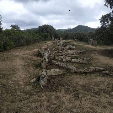 Alignement de menhirs de Pagliajo