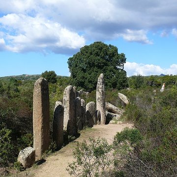 Alignement de menhirs de Pagliajo