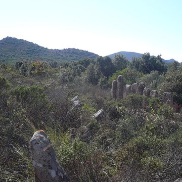 Alignement de menhirs de Pagliajo